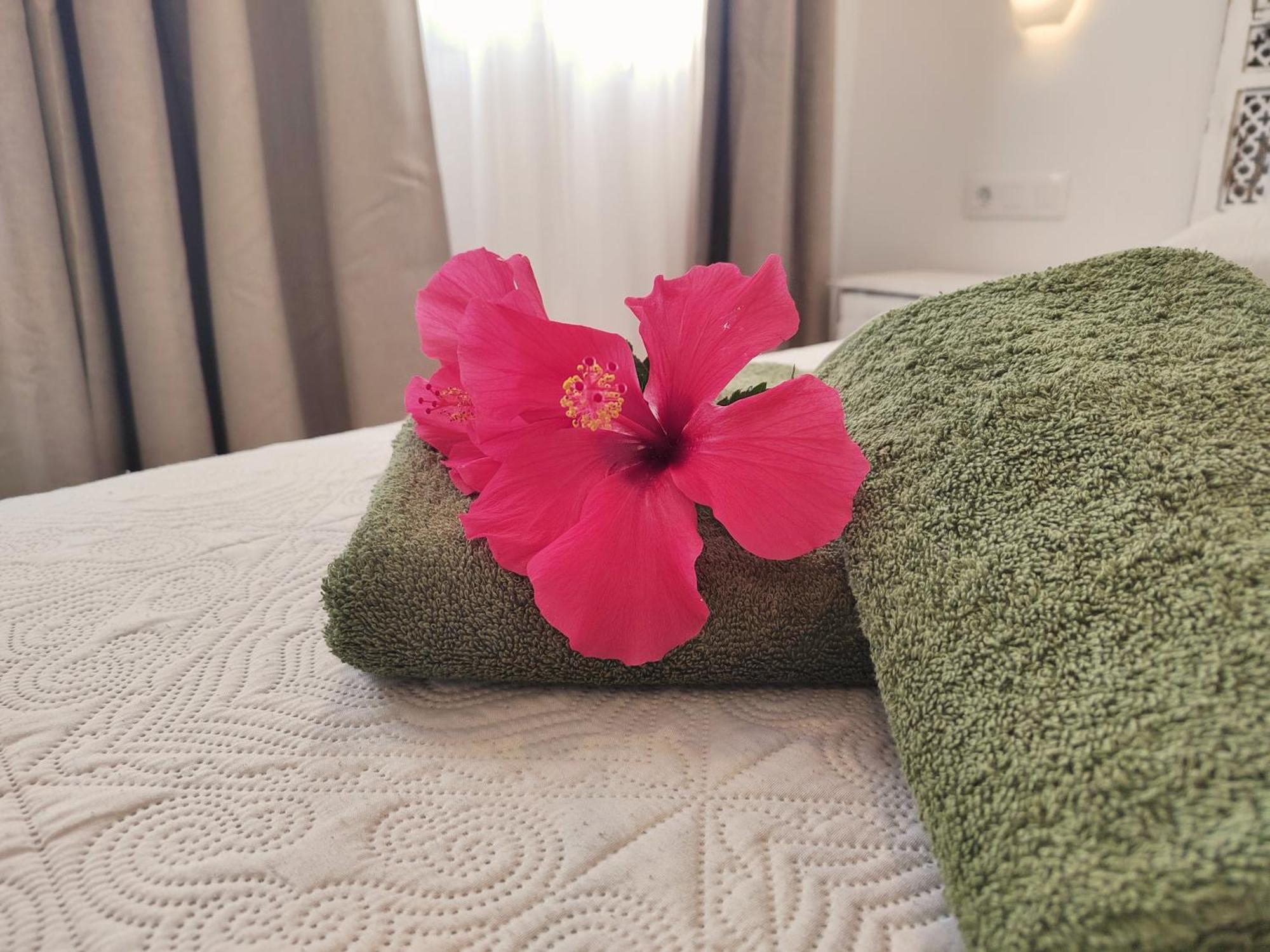 Tamarindo 27 Pool Front Next To The Dunes, Free Wifi 코라레호 외부 사진